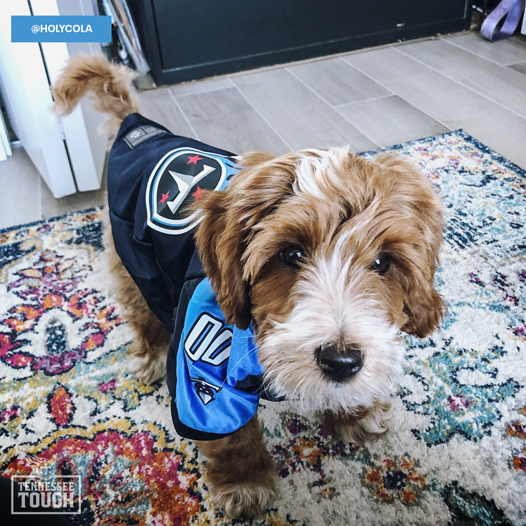 tennessee titans dog apparel