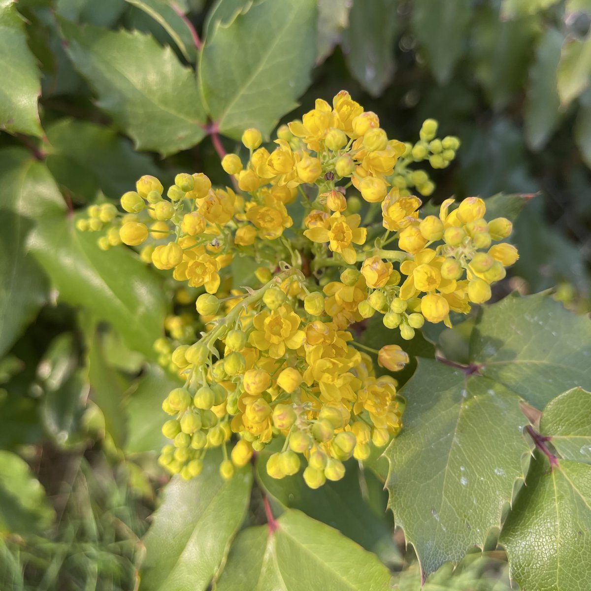 clint_r_scott's tweet image. Good Morning!
Be well &amp;amp; put good things into the world. Enjoy your #EightTrackDay! #photography #art