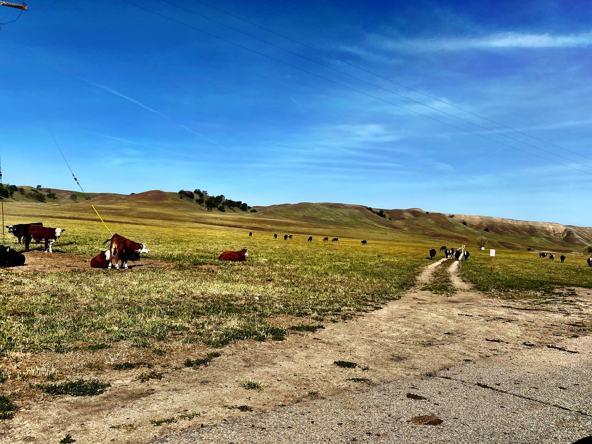 Guy Murray, Esq. 🇺🇦🇺🇸 tweet media