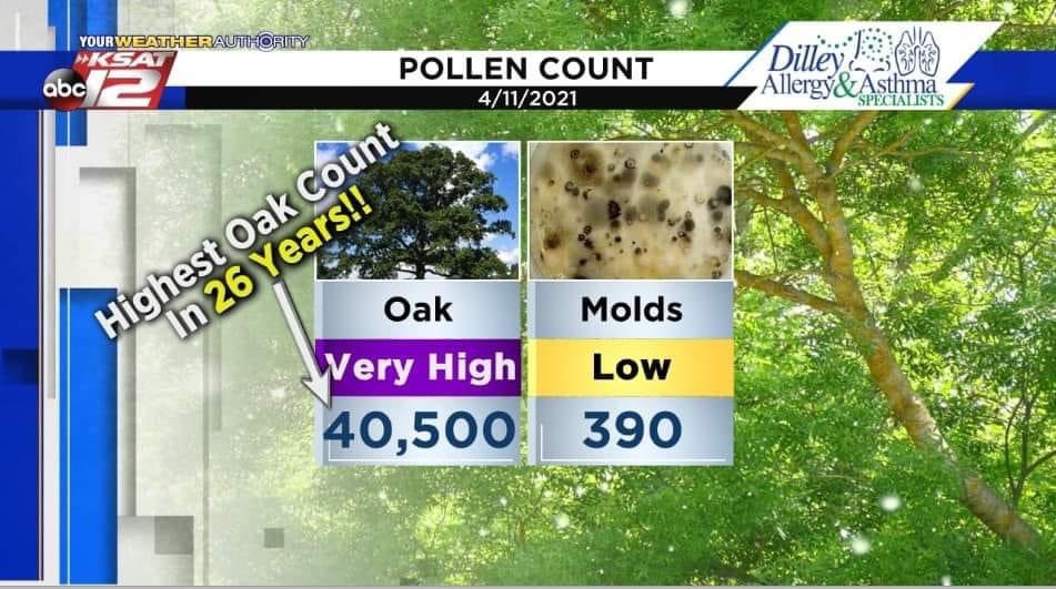 MonicaTaylorSA's tweet photo. @KaitiBlake @KSATSarahSpivey @adamcaskey @ksatweather @ksatweather @ksatnews No wonder I feel like this right now 🤧😴 This is truly an unacceptable number unless it’s going into my bank account 😂 #achoo #goaway #oakpollen https://t.co/GEZ3kjGLGs