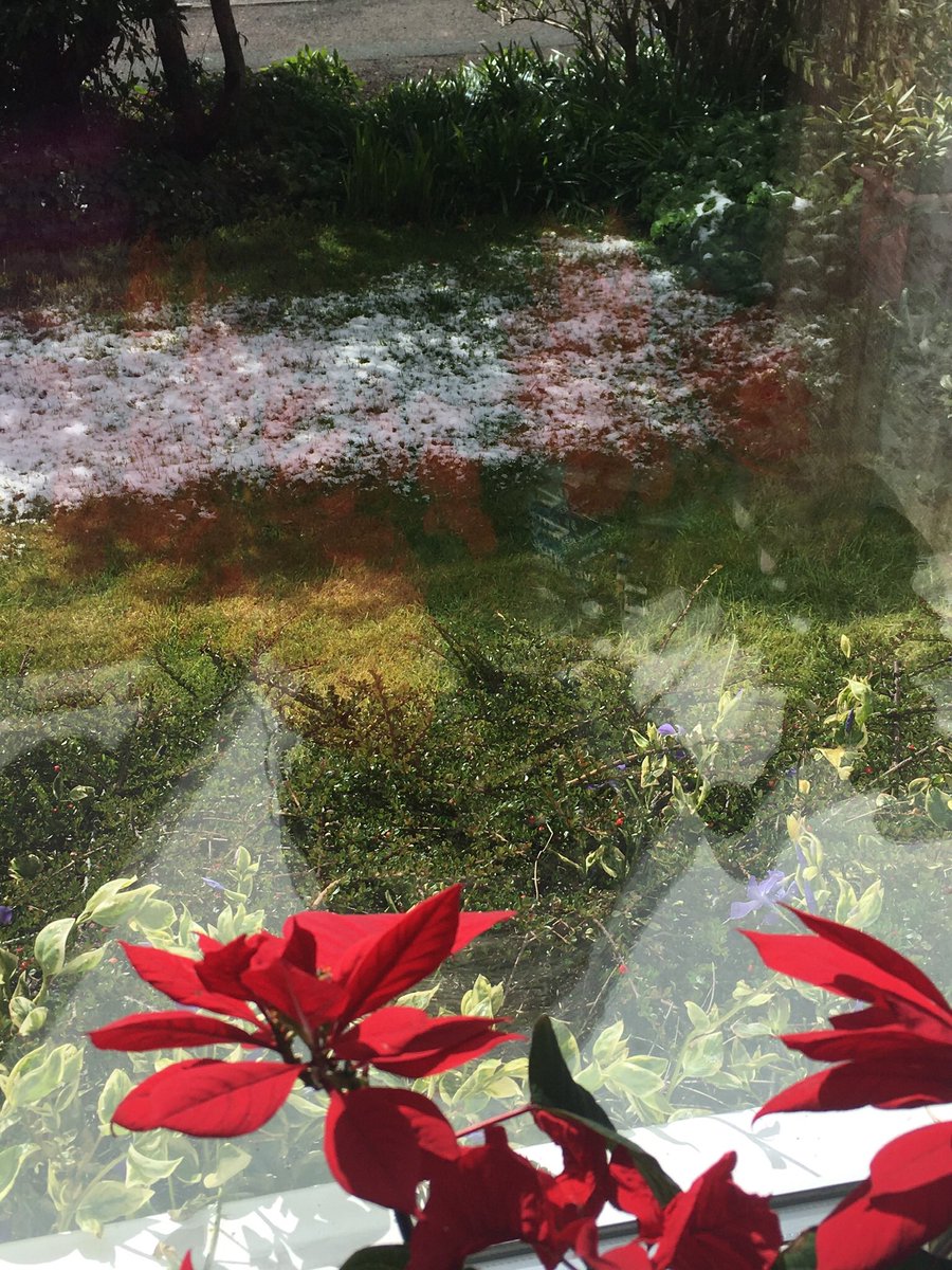 Jan_Lentzos's tweet photo. The snow took us by surprise 😳
Again 😉
🌱❄️🌱❄️🌱❄️🌱❄️
#AnotherSnowDay #Surprise #Snow #Springtime #SnowOnTheGrass #InOurGarden #ColdApril #SunlightOnSnow #MyView #MyFrontGarden #FromMyWindow #TheViewFromMyWindow #Spring #ColdWeather #April #SpringGarden #Silsden #Yorkshire https://t.co/upYf4gJBDx