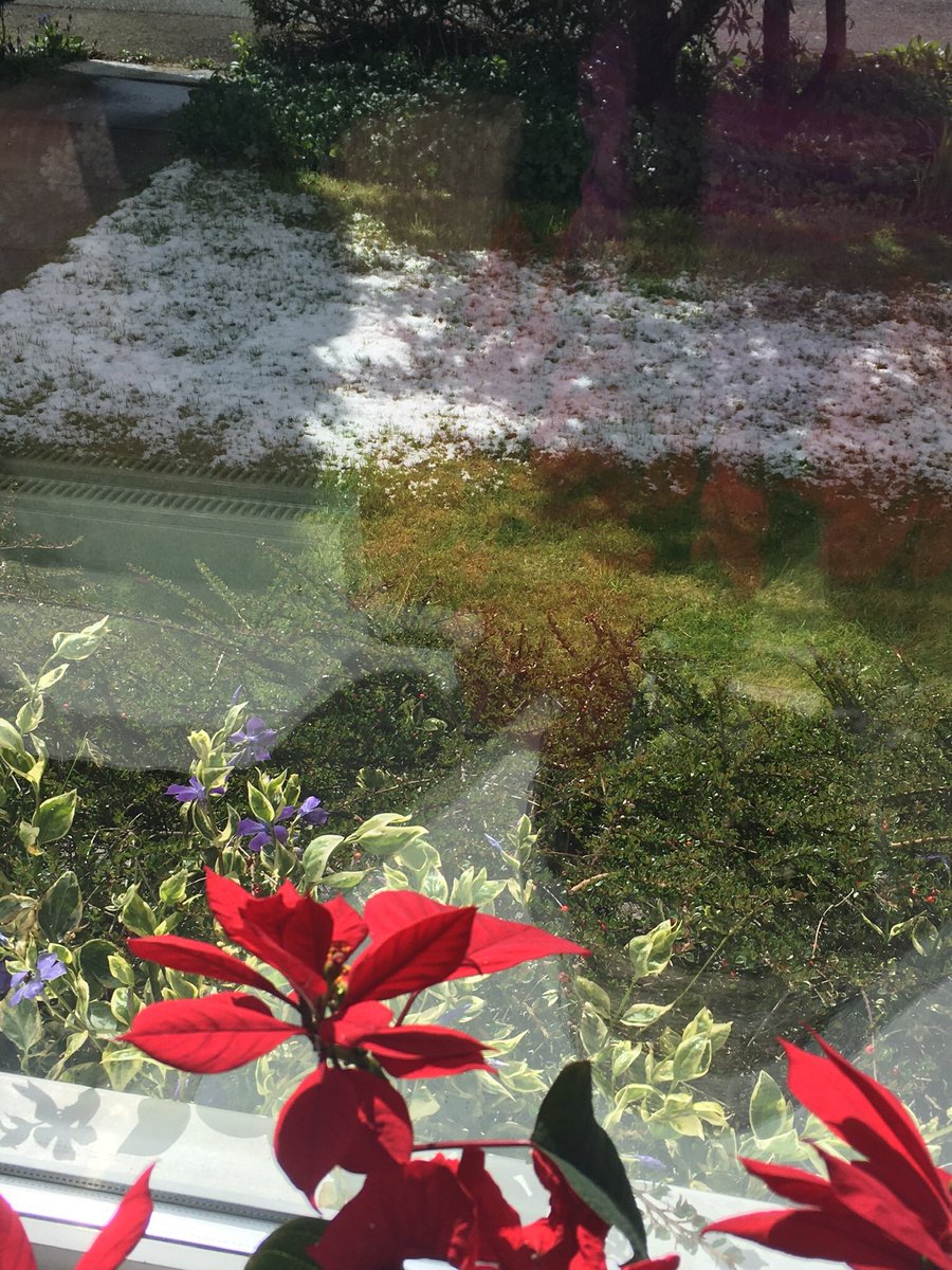 Jan_Lentzos's tweet photo. The snow took us by surprise 😳
Again 😉
🌱❄️🌱❄️🌱❄️🌱❄️
#AnotherSnowDay #Surprise #Snow #Springtime #SnowOnTheGrass #InOurGarden #ColdApril #SunlightOnSnow #MyView #MyFrontGarden #FromMyWindow #TheViewFromMyWindow #Spring #ColdWeather #April #SpringGarden #Silsden #Yorkshire https://t.co/upYf4gJBDx