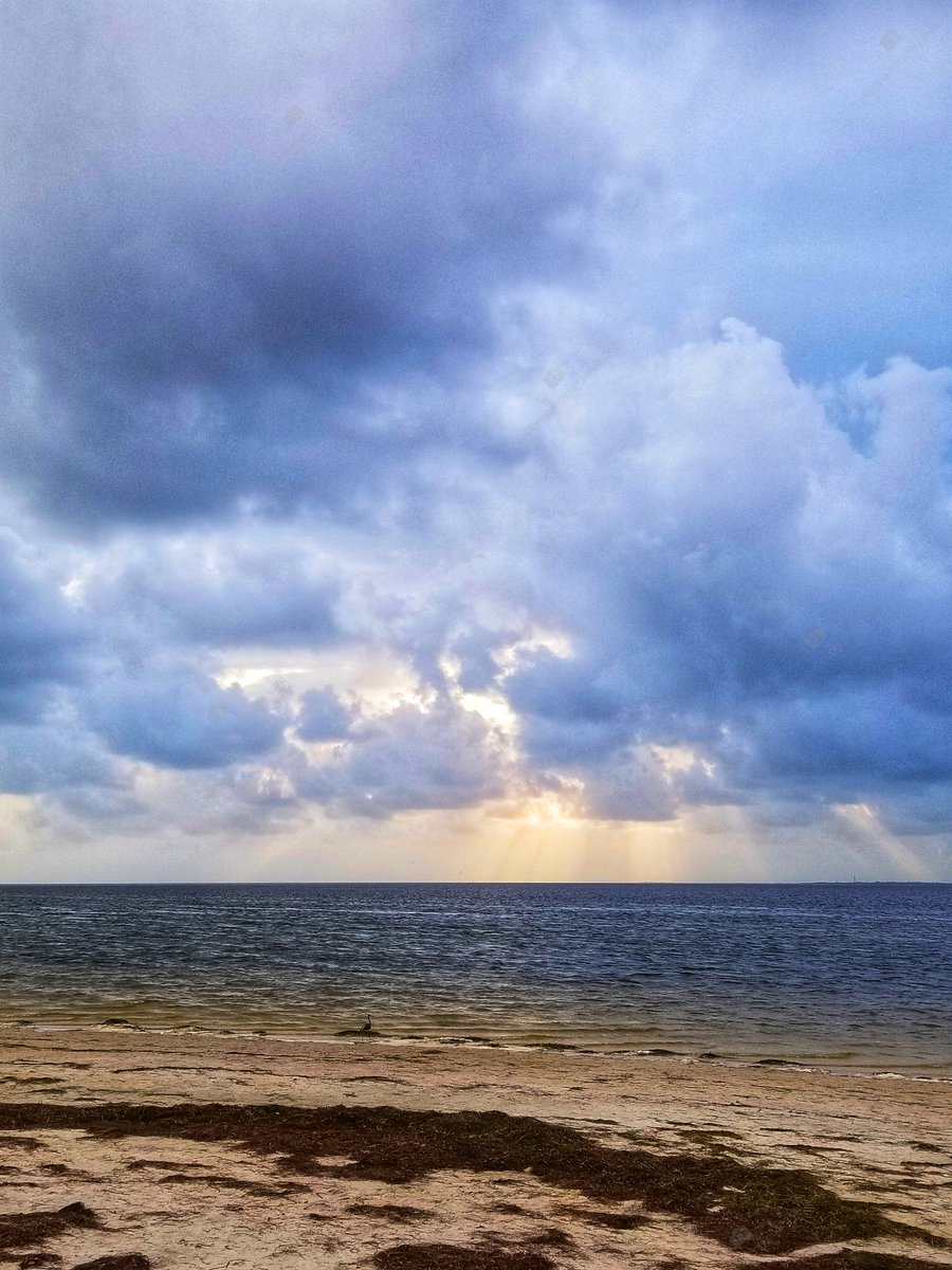 mccray_ladonna's tweet photo. Morning Storm!
Have a Wonderful Sunday Morning!!

#SundayMorning #storm #nature #clouds #morningstorm #beachlife #ocean https://t.co/X52eX7Uov0