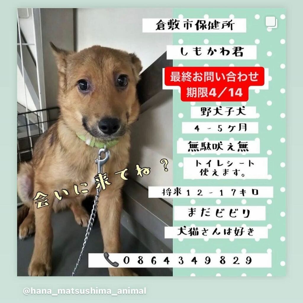 宜しくお願いします。

#anima #pet #catstagram #catoftheday #animal #animals #otaru  #japan #Japanese #saitama #hokkaido #chiba #kanagawa #tokyo