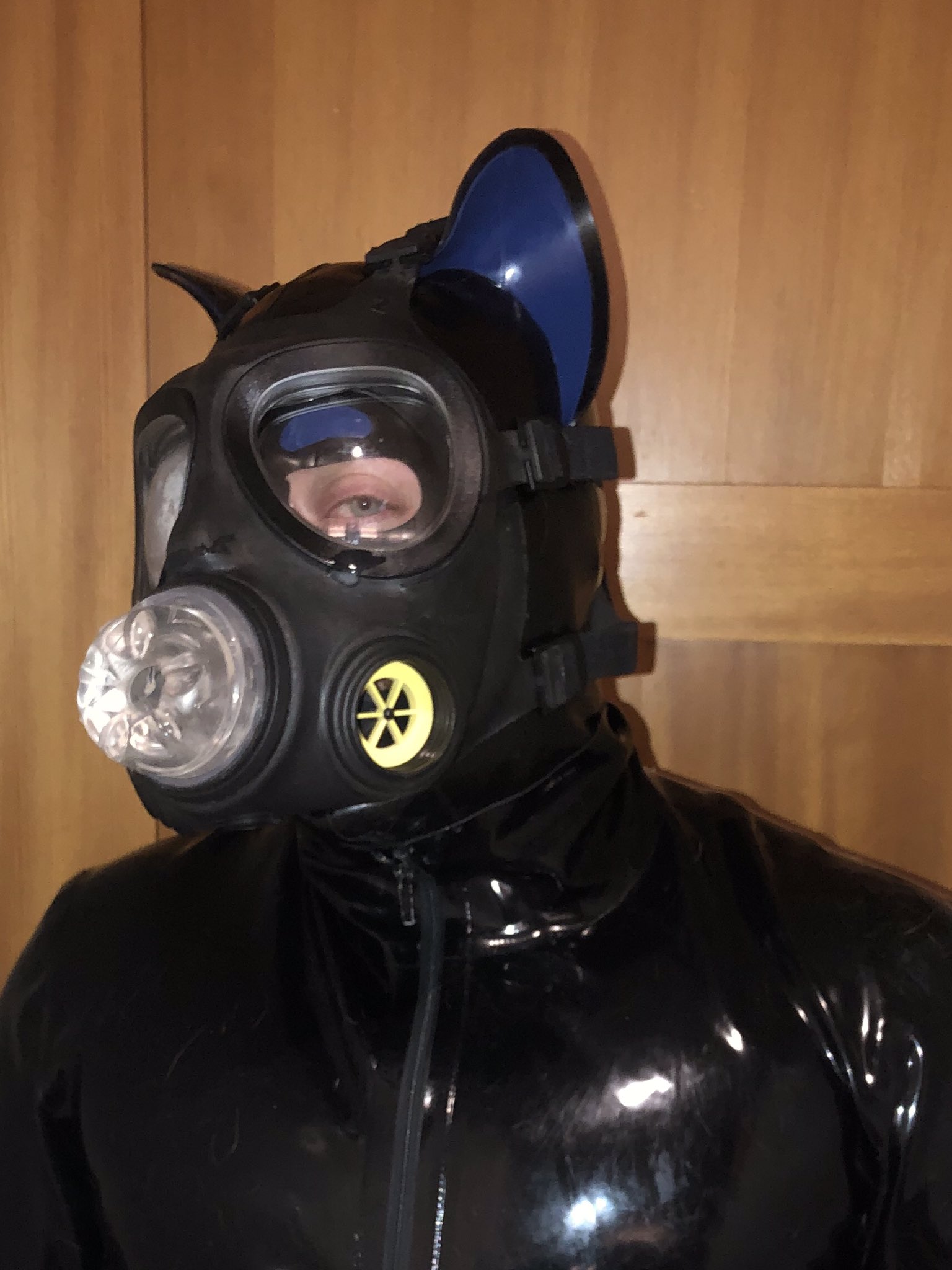 Rubber Diver on Twitter "A fun new toy from the 😉 Modeled and