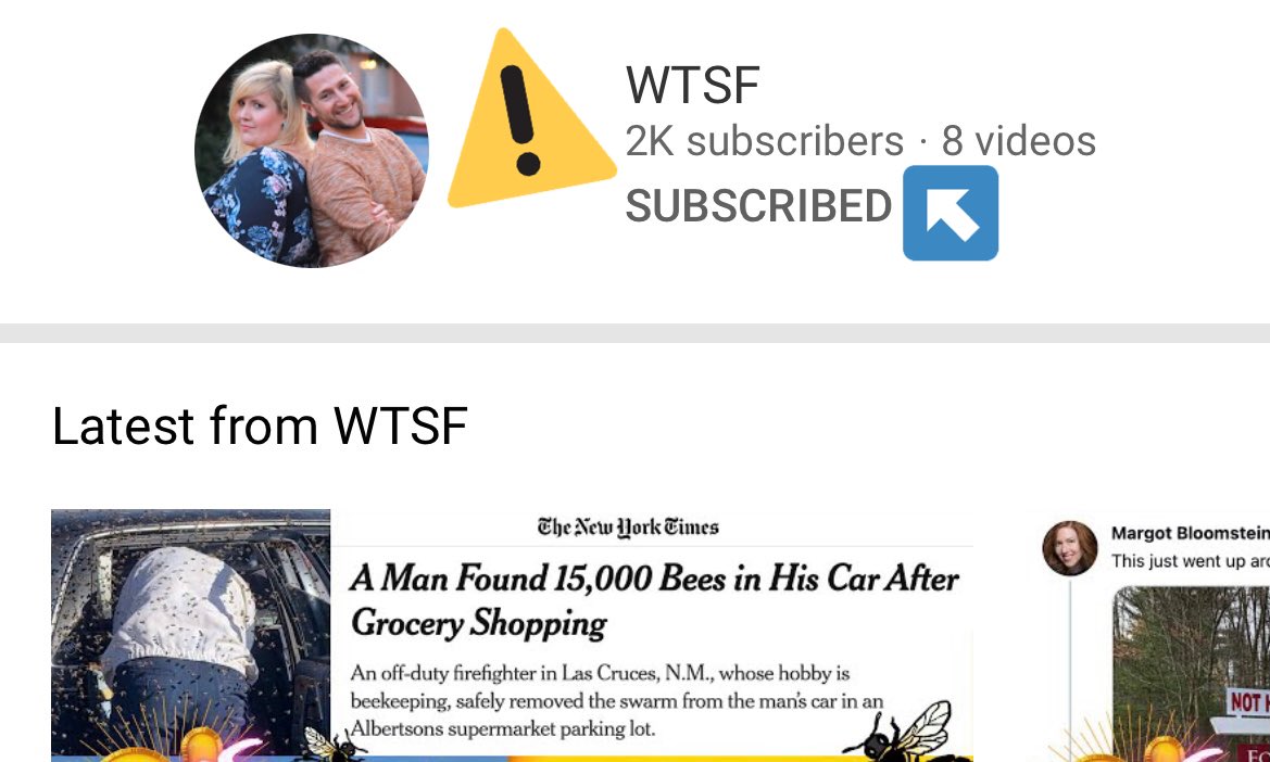 soundlyawake's tweet photo. ayyyy we just hit 2K subscribers on the #WTSF channel 🙌🏼❤️🙌🏼 https://t.co/njtPSIxQUI https://t.co/PJivG9HpFf