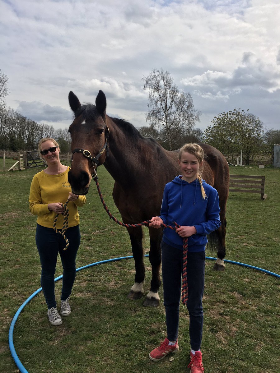 successfilly's tweet photo. So, @pigironjoe et al. About a year ago I tweeted to let you know about my fledgling company- career coaching with horses. Lockdown happened. Ooch. :(
Then, this just happened.... https://t.co/c0OOXQJhQt