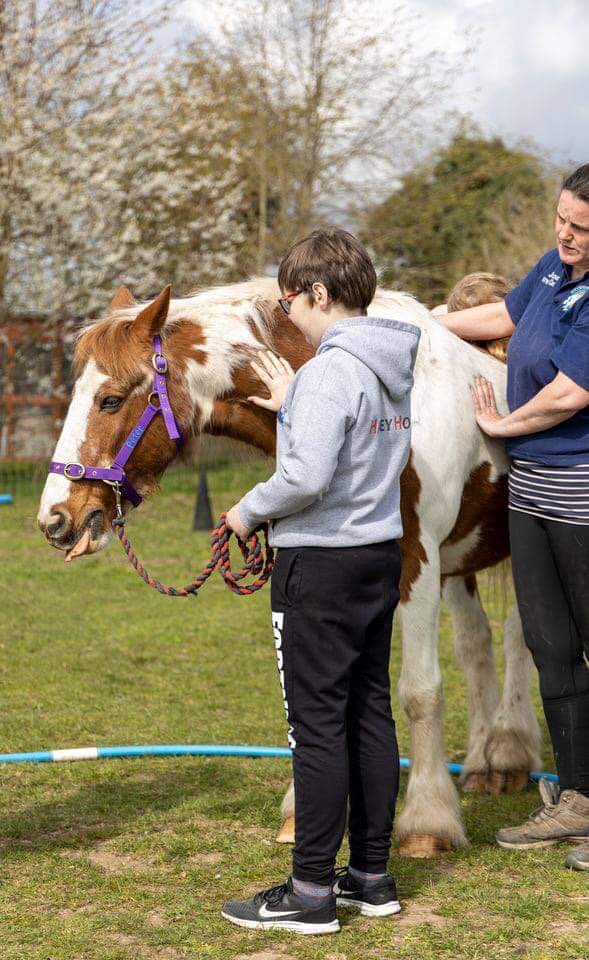 successfilly's tweet photo. So, @pigironjoe et al. About a year ago I tweeted to let you know about my fledgling company- career coaching with horses. Lockdown happened. Ooch. :(
Then, this just happened.... https://t.co/c0OOXQJhQt