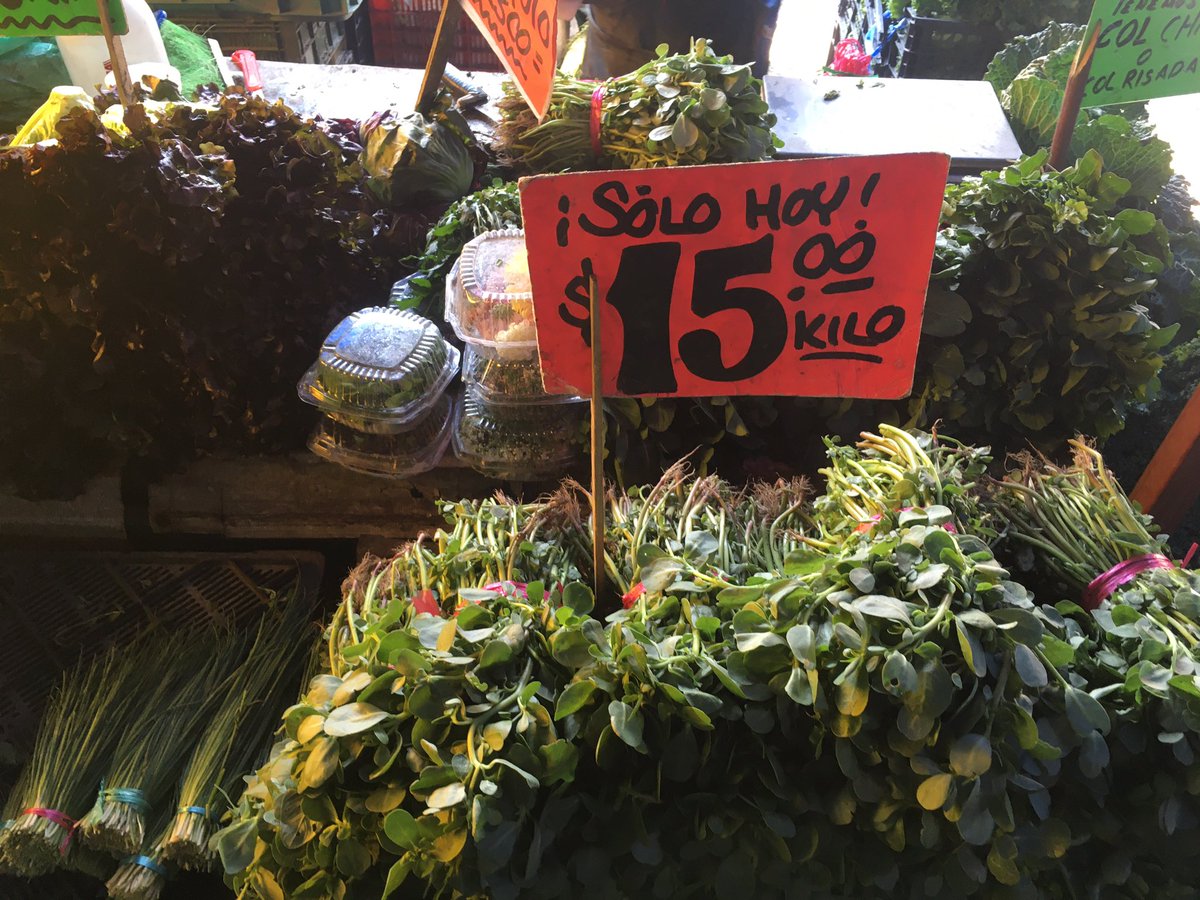 JoseCelisMX's tweet photo. Entre coles de bruselas, arugula, cebollin... nos veamos para una sana alimentación y con excelentes precios en @CdeAbastoCDMX #DaleChamba 🌞@doloresb_planet @SedecoCDMX @FadlalaAkabani @WWF_Mexico https://t.co/3a3Z7YinXe