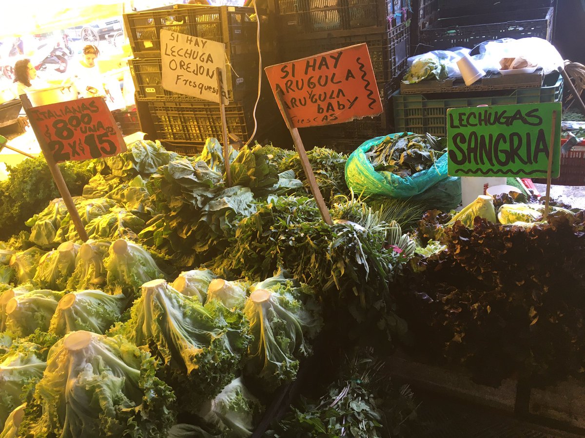 JoseCelisMX's tweet photo. Entre coles de bruselas, arugula, cebollin... nos veamos para una sana alimentación y con excelentes precios en @CdeAbastoCDMX #DaleChamba 🌞@doloresb_planet @SedecoCDMX @FadlalaAkabani @WWF_Mexico https://t.co/3a3Z7YinXe