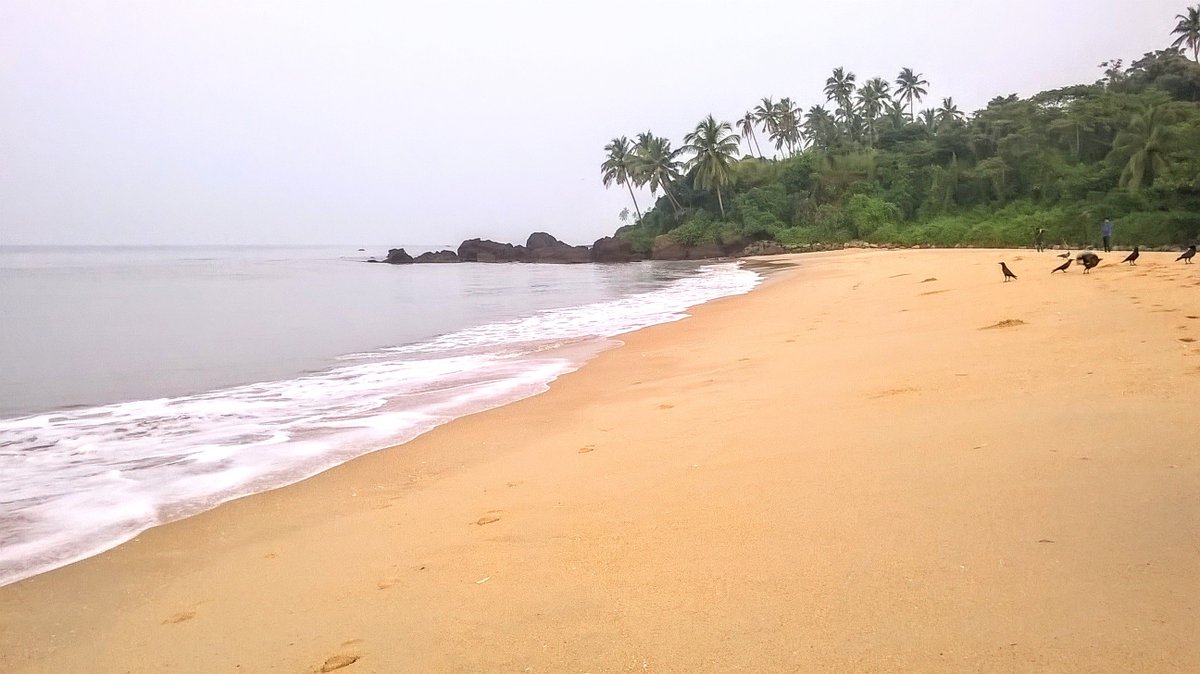 debapriya_deb's tweet photo. Why go for a swimming pool when you can have an entire beach exclusively for yourselves?
#MemoriesToCherish #ImpromptuTrip #IncredibleIndia #BeachLove https://t.co/JV5WJaFCRi