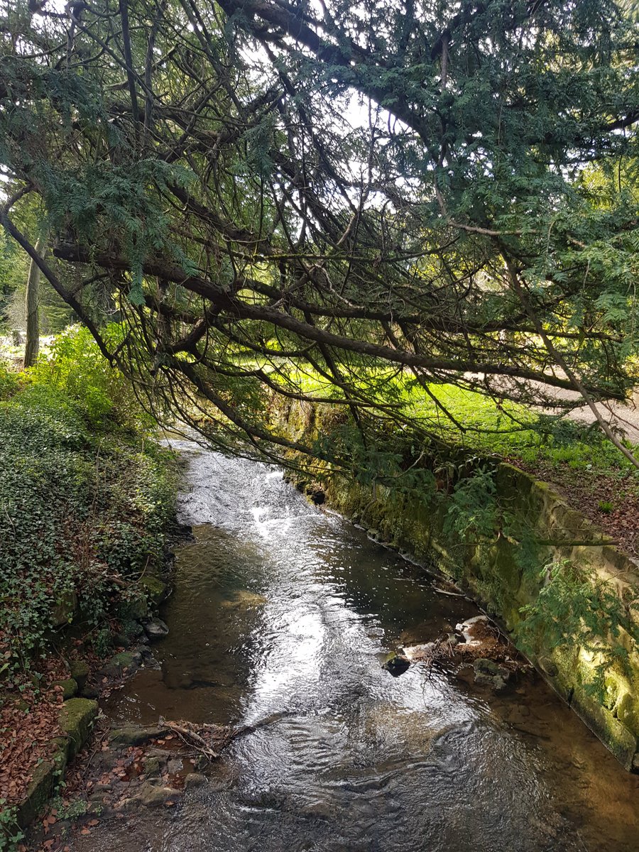 Miss Kirk tweet media