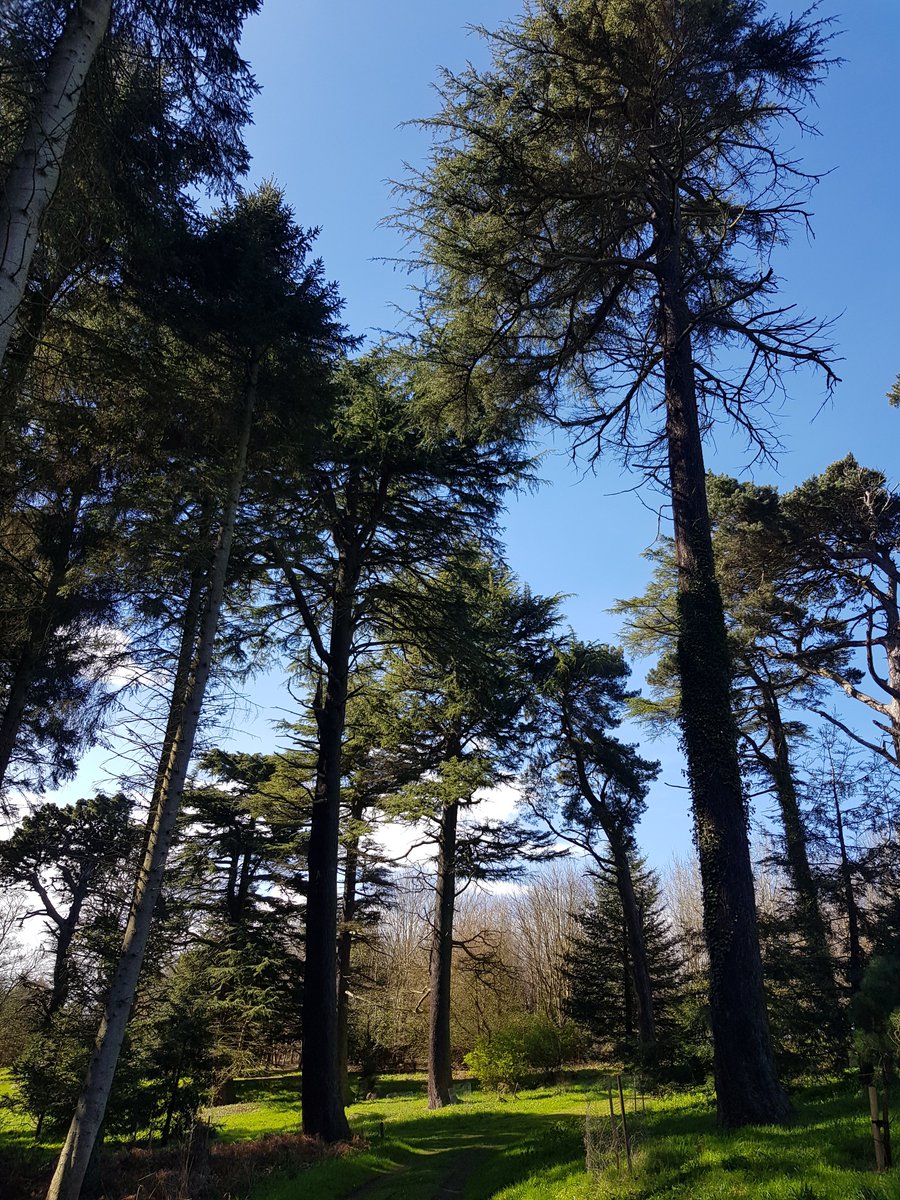 Miss Kirk tweet media