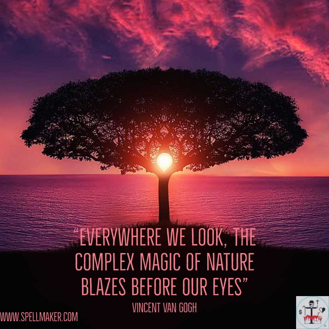 spellmaker's tweet photo. #nature #naturalmagick #vangogh #vincent #tree #pink #purple #red #sea #sunset #beautiful #instagood #wanderlust #outdoors #beauty #naturelovers #naturephotography #ocean #mambosam #spellmaker #voodoo  #voodooqueen #voodooritual  #thevoodooboutique    https://t.co/ooXf7o6Gci https://t.co/DmhYlZwBv0