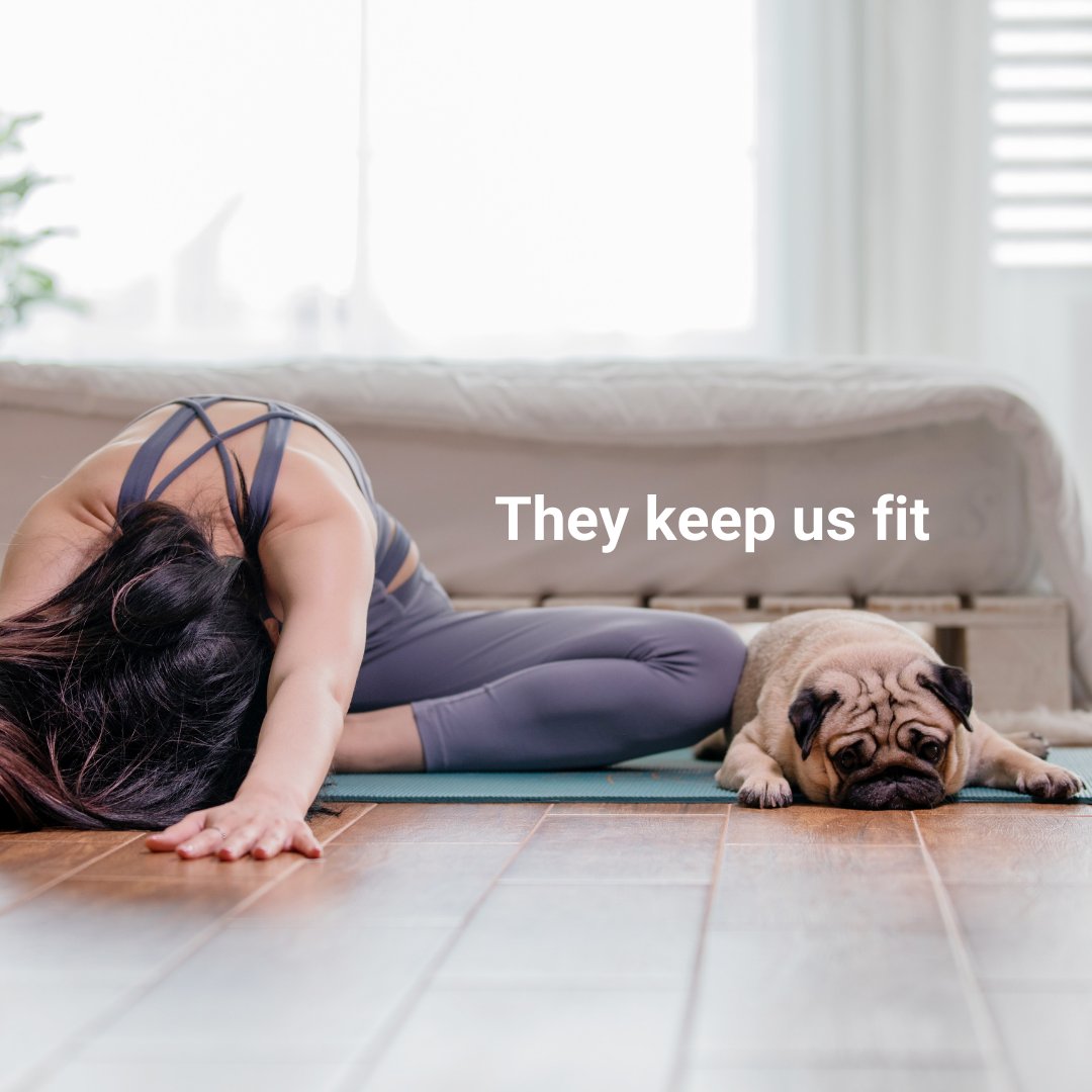 PetShieldInsure's tweet photo. It's #NationalLoveYourPetDay! There are so many reasons why we love our pets... but the best reason is that they love us back.
Our pets are family, and they deserve to be protected. Check out our Plans & Coverages page at https://t.co/AljkxhYjQi today. #PetShield #petinsurance https://t.co/0a0VMDId6f