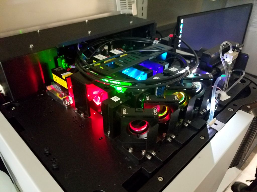 CSU_MIP's tweet image. The #CSU Flow Cytometry and Cell Sorting Core Facility is back on Twitter at @CSUFlow! Their state-of-the-art instrumentation &amp;amp; expertise at the university greatly benefits #MIP infectious disease research.

#FlowCytometry #CellSorting #CSUResearch #ScienceTwitter @ResearchCSU