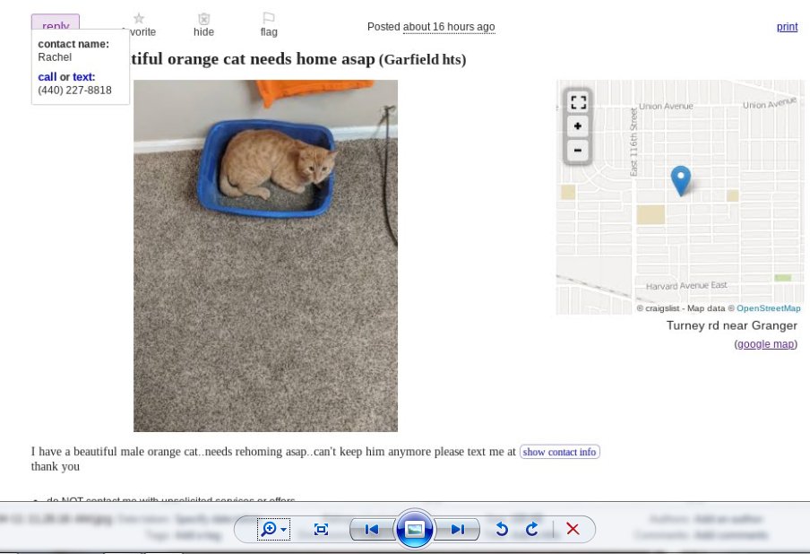  @RepDaveJoyce Cats and kittens in   #Cleveland need you to see this. cc:  @POTUS,  @rickygervais Any of you want to help shut down the   #Craigslist pet section yet?  https://aldf.org/article/k...