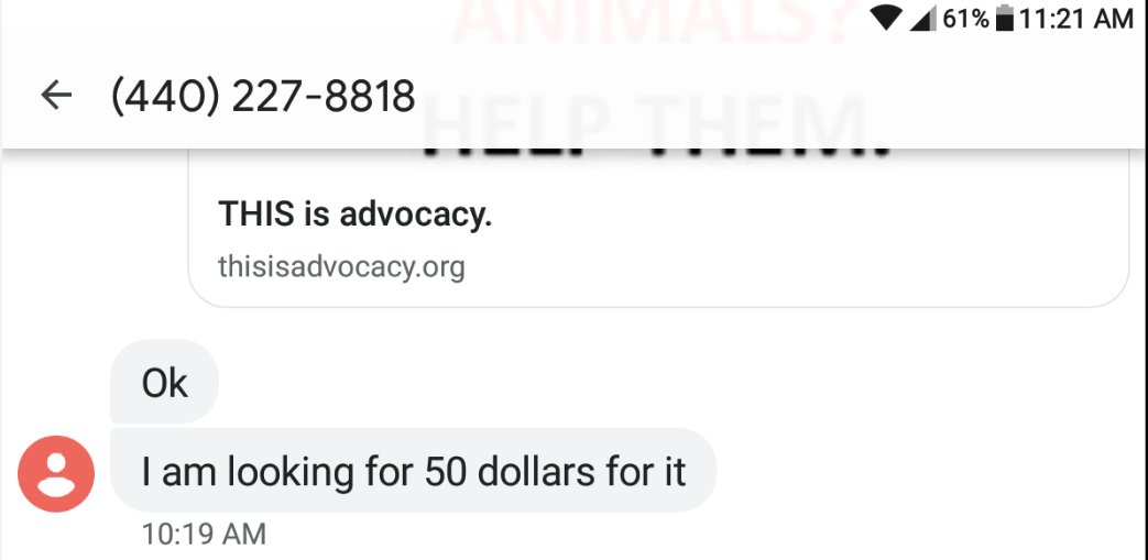 @RepDaveJoyce Cats and kittens in  #Cleveland need you to see this. cc:  @POTUS,  @rickygervais Any of you want to help shut down the  #Craigslist pet section yet?  https://aldf.org/article/kim-basinger-urges-craigslist-to-ban-posts-with-animals/