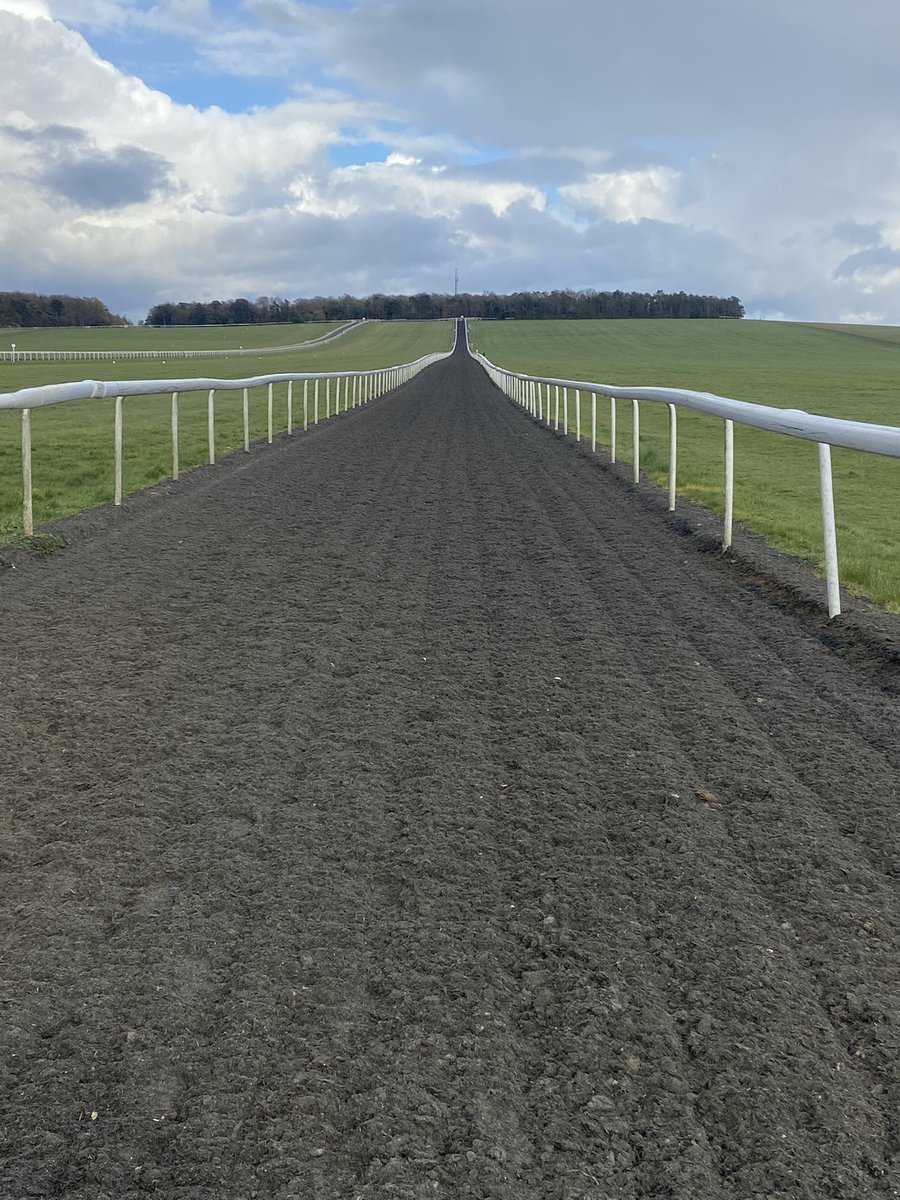 MDOCallaghan's tweet image. @JohnWathenBerry could I ask you a question? 
What is the difference between both gallops on @TheJockeyClub Warren Hill #notatrickquestion #justcurious