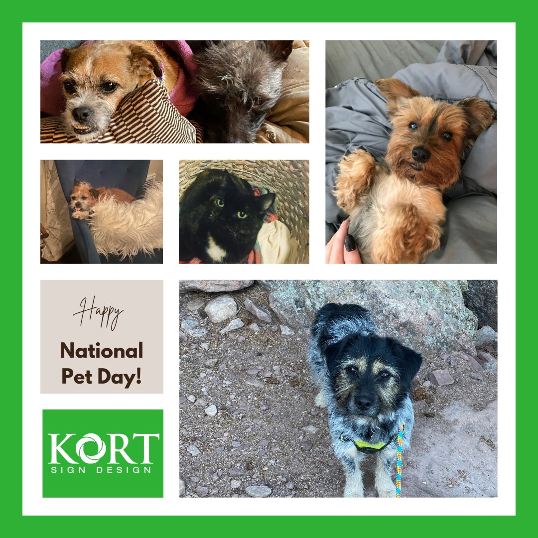 KORTSignDesign tweet media