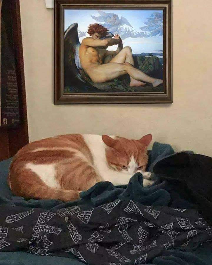 gatitos_qctd's tweet photo. Same energy https://t.co/UbrULdWZPN