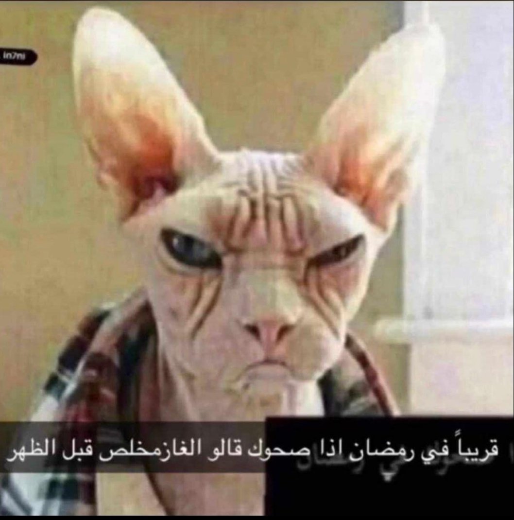 قريباً
في رمضان إذا صحوك الظهر وقالوك الغاز مخلص 😂