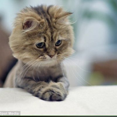 Ankojonah's tweet photo. #NewProfilePic https://t.co/ihCoAXphwt