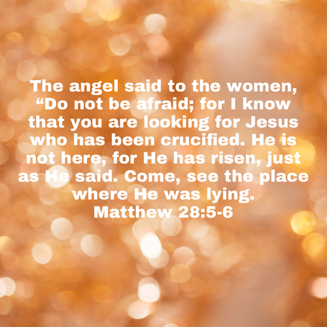 AMG Publishers tweet media