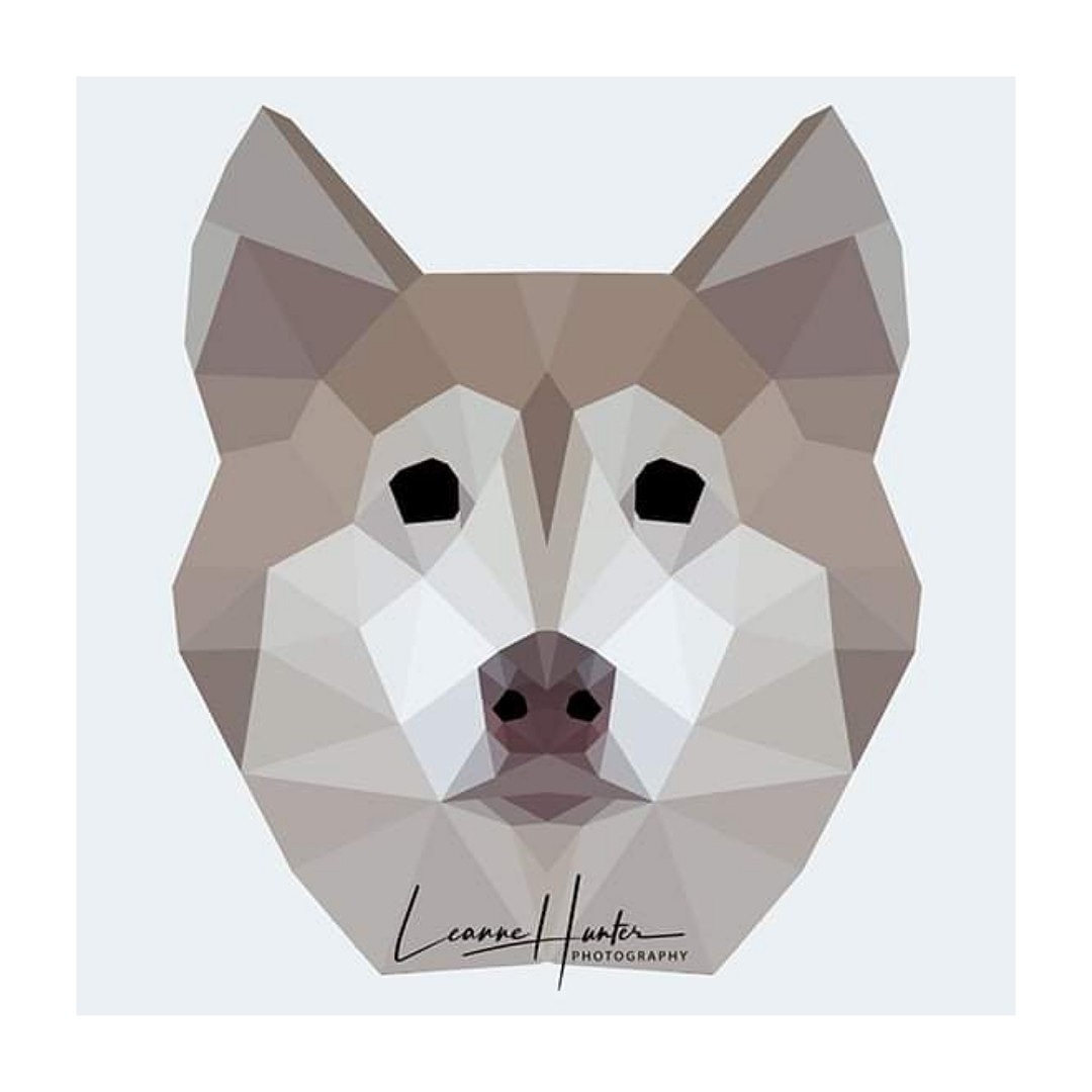I have always wanted to make a geometric art print of my beloved departed husky. I gave it a go today. Not bad for a first attempt. :) #husky #dog #print #ArtistOnTwitter #art #graphic #PhotographyRedefined #geometric #shape