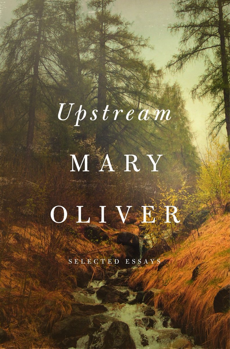 jan 2020: i tried a very different mockup - text set over a photo of some nice leaves i took. it felt more thoughtful, but we decided this looked too close to other covers (particularly jenny odell’s brilliant HOW TO DO NOTHING & mary oliver’s UPSTREAM) so i tried something else.