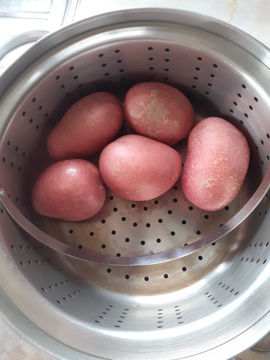 figures21's tweet image. Number 4 Son moved out last Thursday.
First time in 33 years we&apos;ve had an empty nest.
#EmptyNest #CookingForTwo