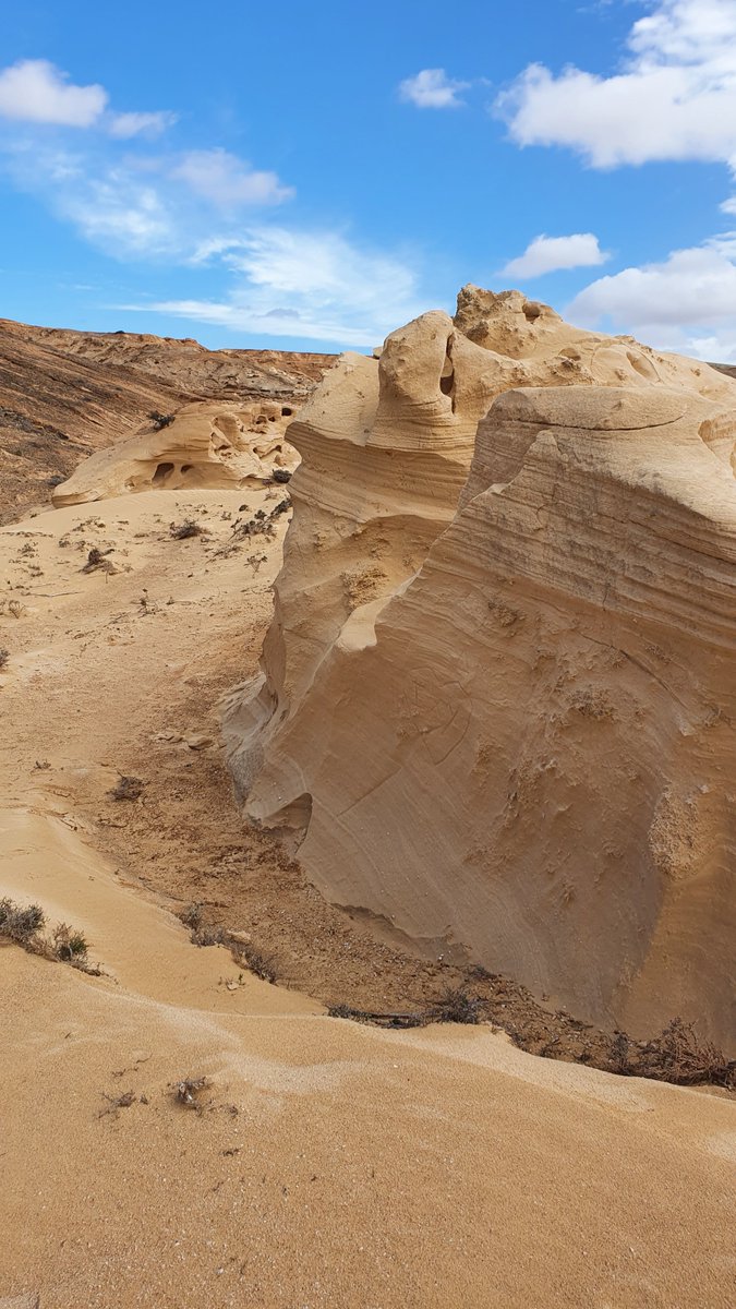 AAmaifa's tweet photo. Sigue nuestra lucha para #proteger los #yacimientos #geologicos #paleontologicos de #Fuerteventura con un importante #Patrimonio #Cultural #Paisajistico y en estado de Abandono. #SalvarFuerteventura
Firma en @change_es LINK IN BIO.
👉AMAIFAFuerteventura en #youtube #instagram https://t.co/TMz731Uvr5