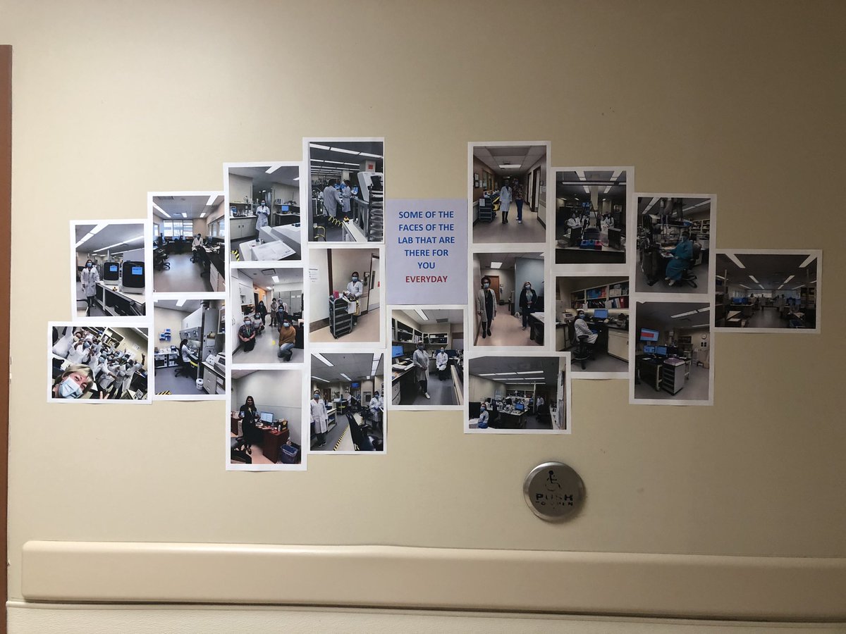 joannaellis1999's tweet photo. Happy #labweek to all our colleagues and especially those amazing humans @THP_hospital . At the entrance to our labs this week you’ll see photos of the faces 😷 supporting our clinical platform each and every day! Come by and say Hi and Thank you! #nmlw https://t.co/tBjKoMMylf
