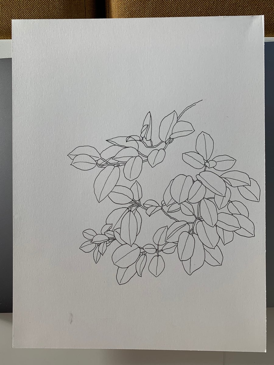 feb 2020: this idea of text over leaves lead to the next sketch — handwritten text over an illustration of leaves. i though an intricate line drawing could almost feel the same as handwriting across a page. here is also a photo of the sketch i used and another sketch i considered