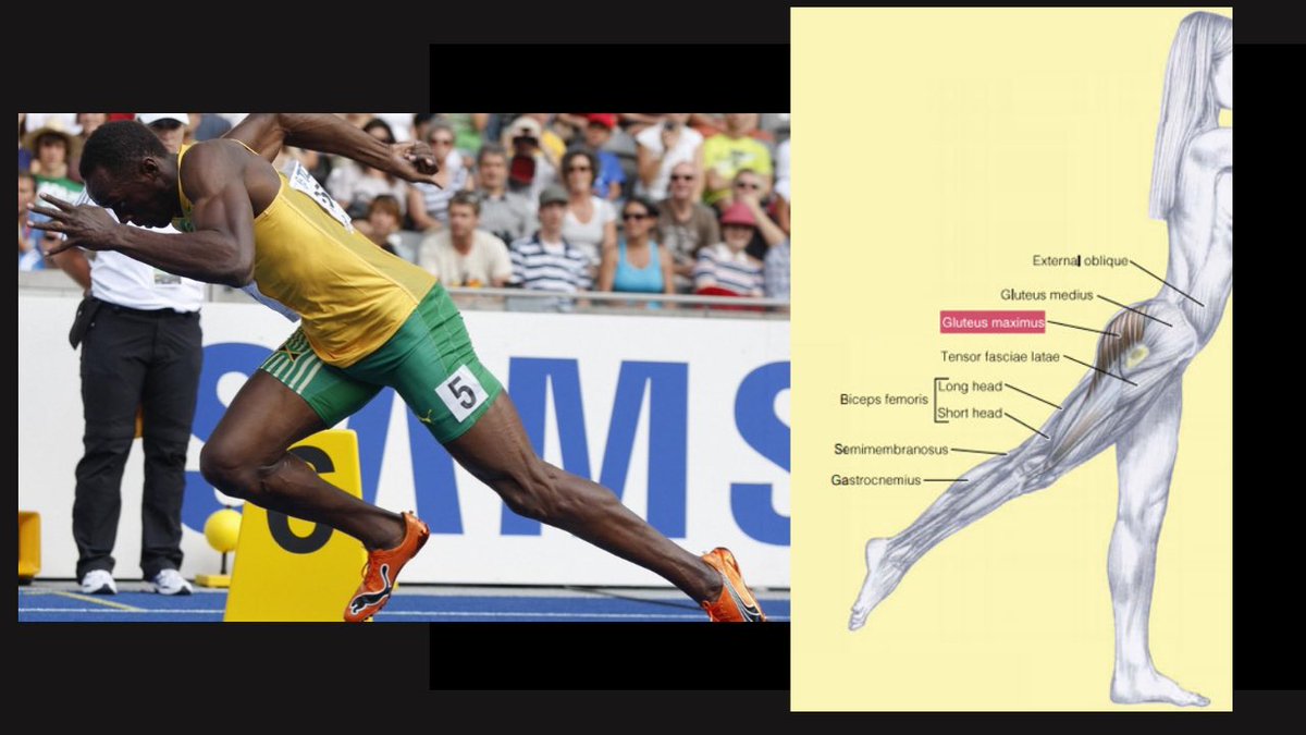Another possible scenario is that the runner is missing hip extension.As mentioned above, when we toe-off or push off, the hip needs to extend.It is this action that occurs with the momentum of the other leg coming forward to keep us