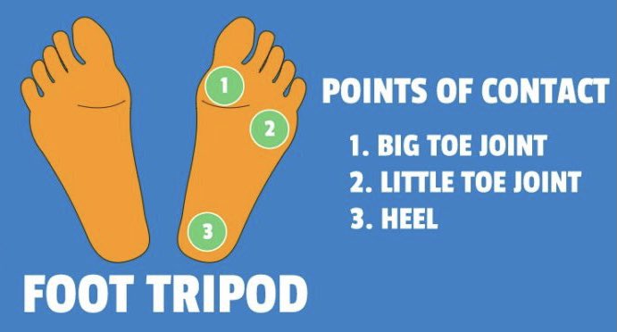 The load placement helps us “shift over” to the forward leg to syncing up internal rotation of the whole lower limb which is necessary for the foot to properly pronate.Make sure they’re feeling the “tripod” foot contact to ensure no collapsing in of the ankle.