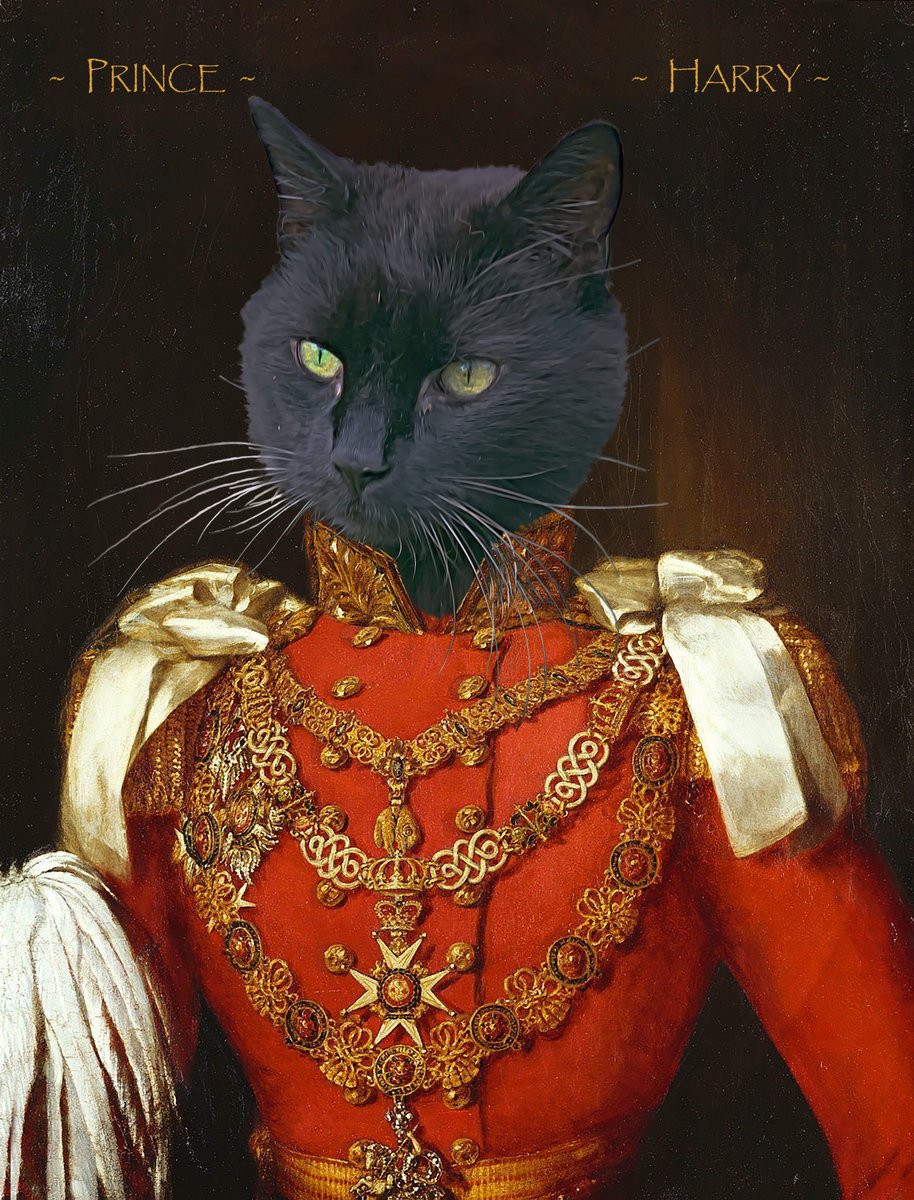 Prince Harry <a href="/TheGoodDogGuide/">The Good Dog Guide</a> <a href="/RoyalCatsDogs/">Royal Cats & Dogs</a>