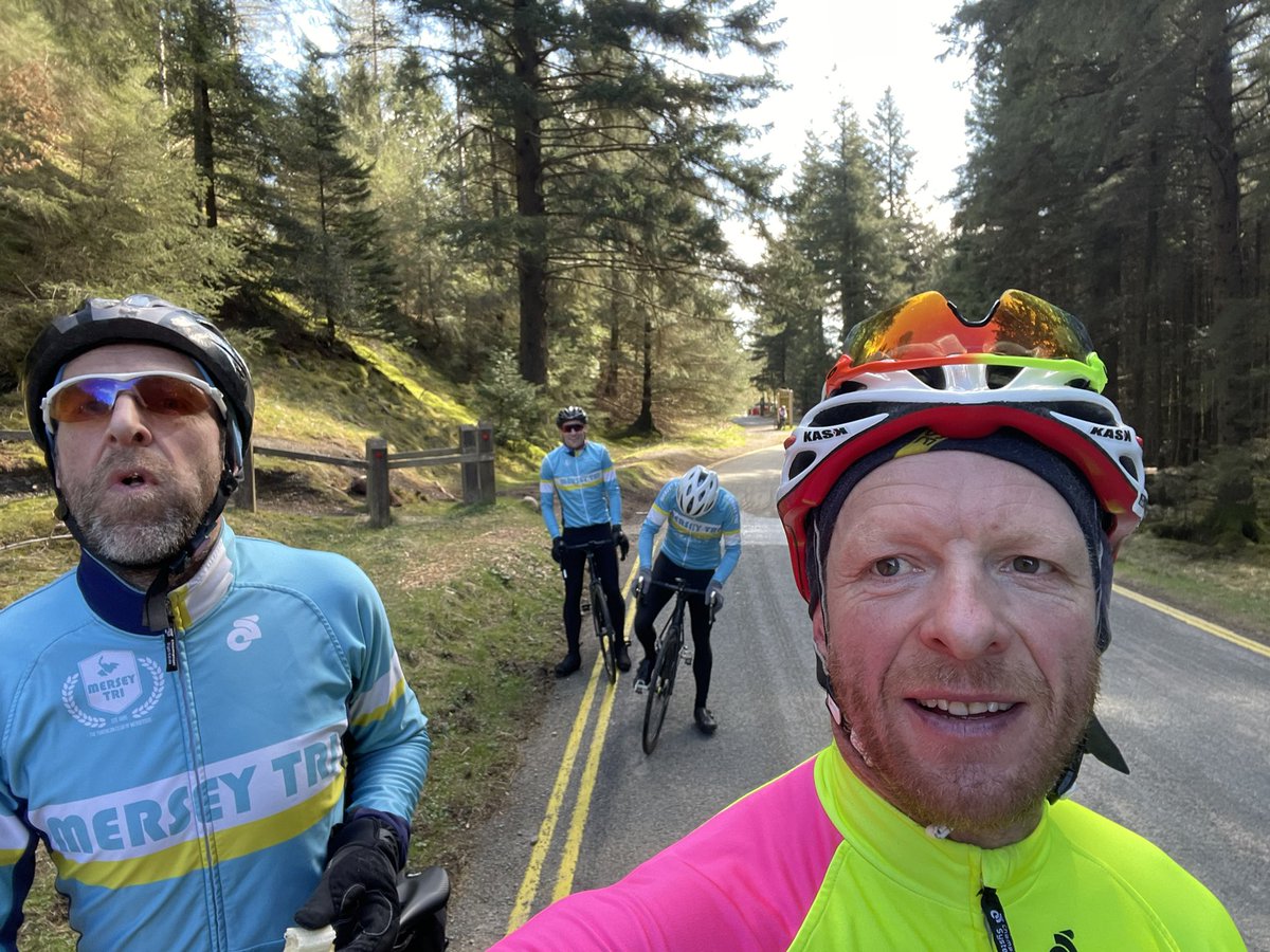 el paulo tweet media