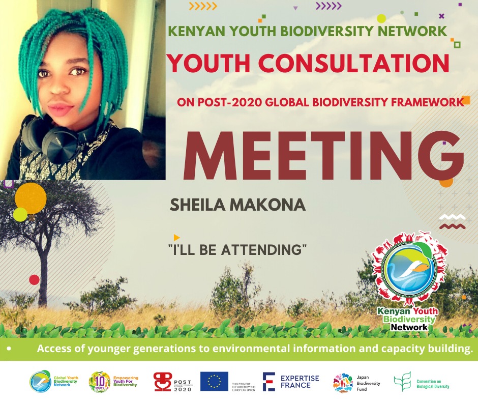 When you and me work together in climate action, we are capable of ensuring a better planet for today and tomorrow's generation.
 #KenyanYouth4Biodiversity #BiodiversityNeedsYouTH  #IAmGYBN
#YouthForOurPlanet