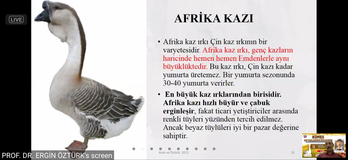 FSaripinar's tweet photo. @ANTALYA_TOM @gokhankaraca_ @ersinyazici1 @bekirpakdemirli @TCTarim #KümesHayvanları #GelecekTarımda
FURKAN SARIPINAR
2.YOKLAMA https://t.co/h5D9aLHSwf
