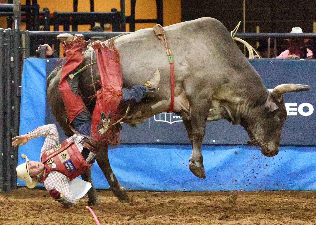 joeburb's tweet photo. A bumpy ride for Roscoe Jarboe of New Plymouth, Idaho, during the RAM National Circuit Finals Rodeo in Kissimmee, Fla. More pix: https://t.co/BKo5jdEYso @orlandosentinel @OSPhoto #orlandosentinel #silverspurs #rodeo #rodeos #cattle #horses #RNCFR #RAMNCFR https://t.co/obwopKHV1V