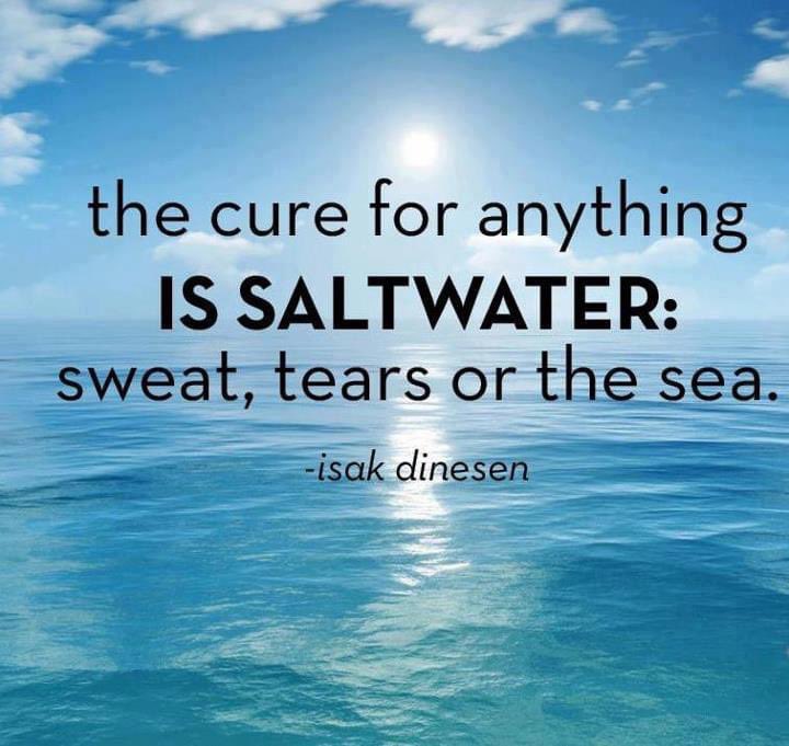 m3mindful's tweet image. #m3method #qotd 📝 #isakdinesen