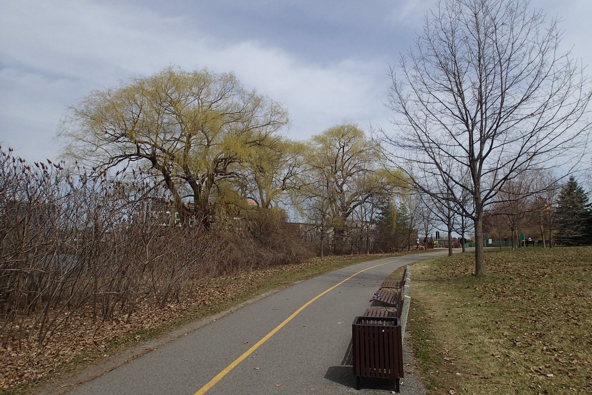 Fantastic weather for a short Sunday run (19ºC)😋
10k along the Ottawa River.
Great week: 55k of running and 137k cycling to help my foot getting back into the game😀
Hope you've had a good week!
#IstartHere <a href="/OttawaMarathon/">Jeff Cushen</a>
#TeamNuun <a href="/nuunhydration/">Nuun Hydration</a> 
#mmrun 50/100 <a href="/MegaMeterRun/">Mega Meter Run</a>