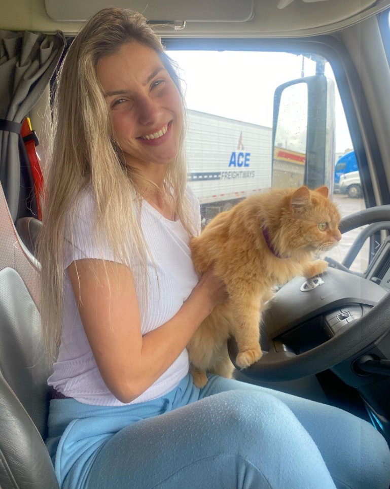 Reveza um pouco Freedom 🙀 A viagem tá longa! 😹 #loiranaestrada #freedom #estradas #caminhoes #workhard #catlovers #truckerslife