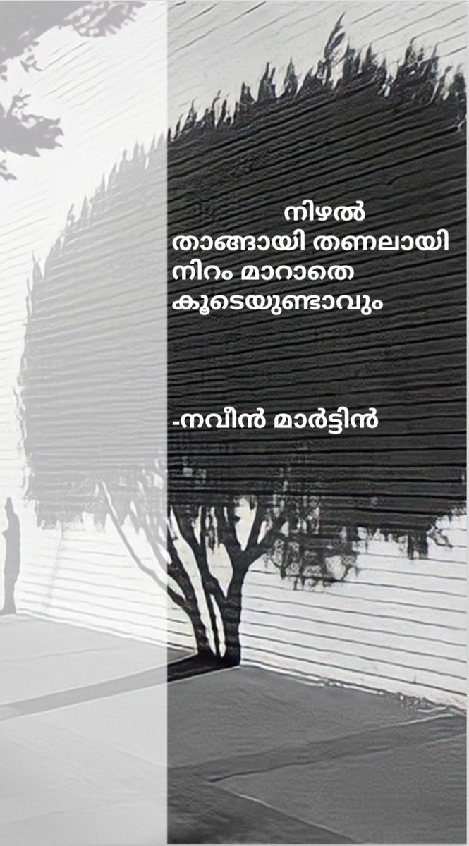 NaveenMartin6's tweet photo. #kerala #twitter #Instagram #Shadow #blackandwhite #india #tree #actress #goodvide #TrendingNow #Trending https://t.co/raAn1NpUwr