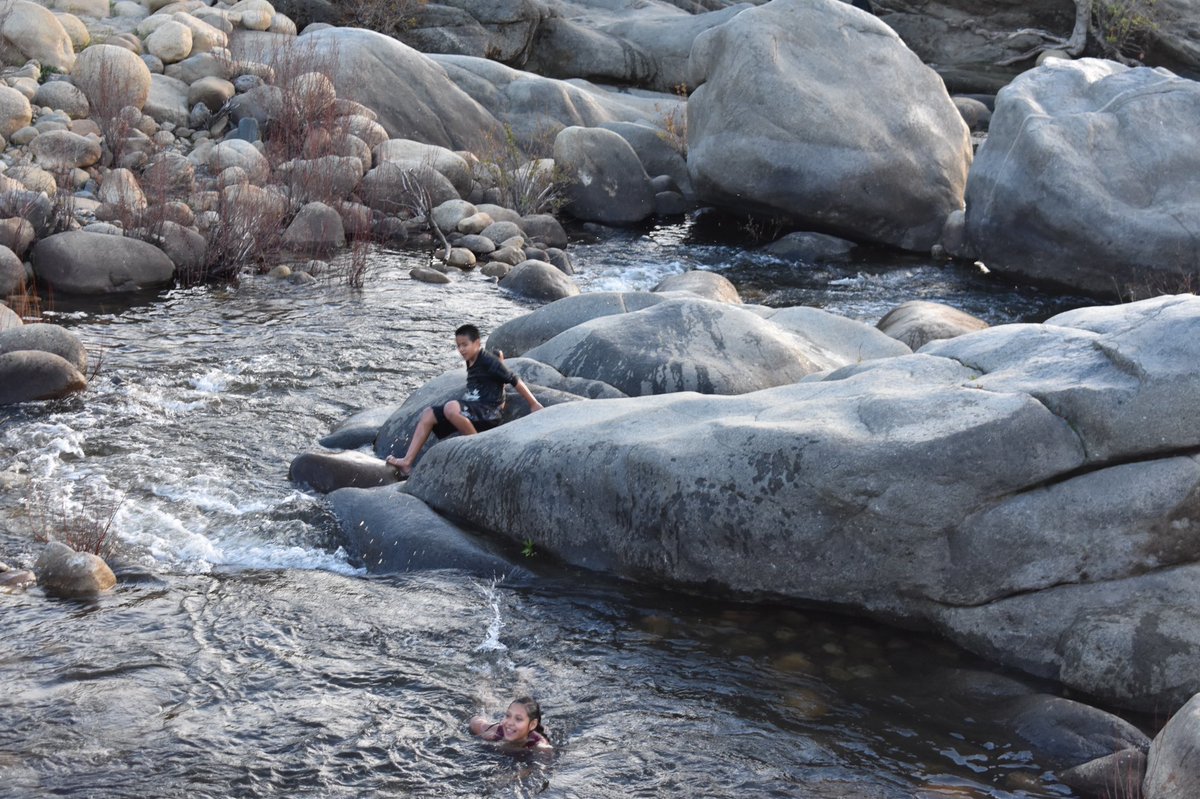 Last weekend kiddos n mini teacher went on a hike, played in snow, had a swim and look at some giant sequoia trees 🌲. At sequoia national park we all had a blast !! #springbreak2021 #nature <a href="/MrsBagley19/">Jessica Bagley</a> @bethany_marinez <a href="/coachkdcacomets/">Jory Kirchhevel</a> <a href="/100MileClub/">100 Mile Club®</a> <a href="/DCAComets/">Dr. Carreon Academy</a> <a href="/DesertSandsUSD/">Desert Sands USD</a>