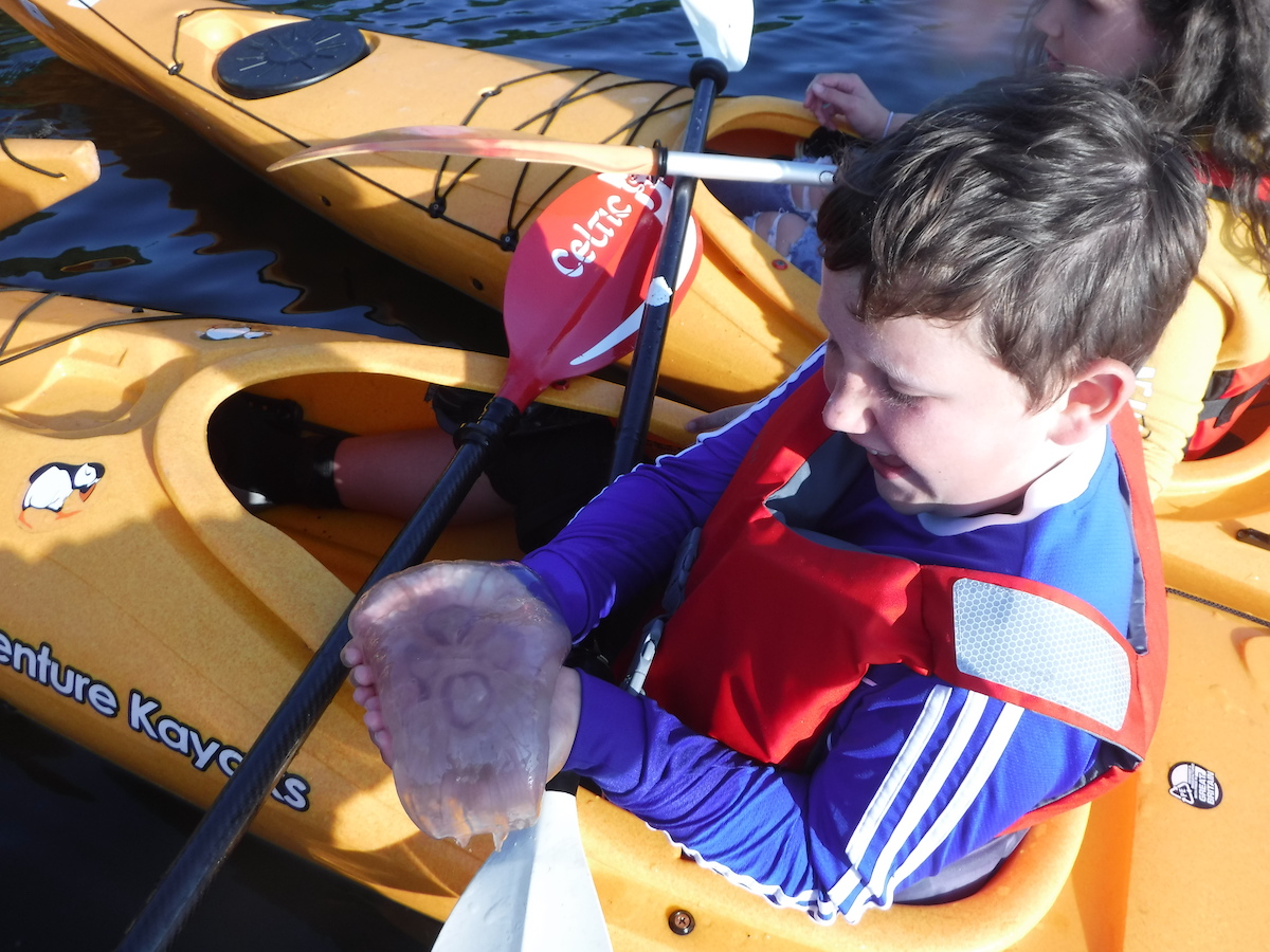 AndCanoe tweet picture