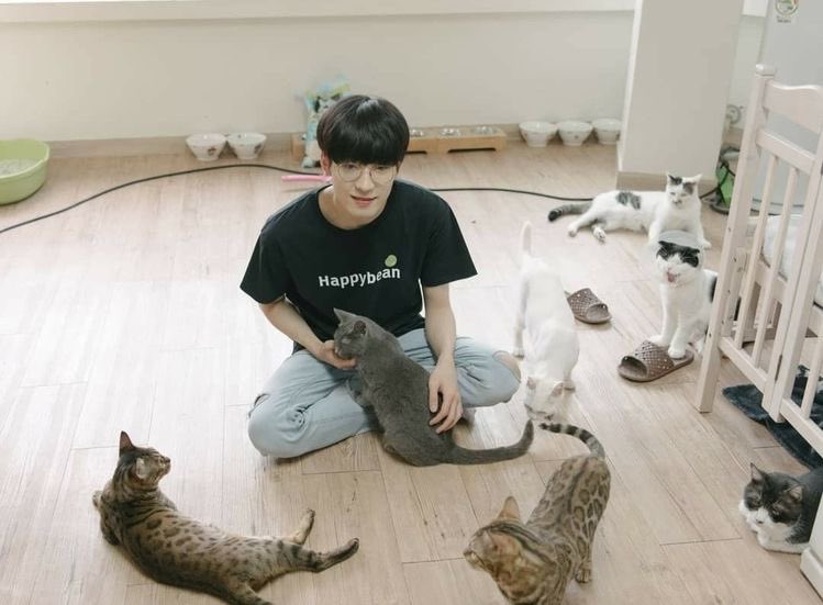 wonwoo: definetly would have a pet cat. quite mindful of space, probably has a bookshelf in his room. bottom part of the fridge just has coke bottles. recommends you books he likes and he gets super excited when you say you’ll read them! asks if you wanna play video games.