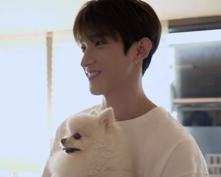 dokyeom: dogs just love him. probably volunteers at a dog shelter to give love to all the dogs. always asks if your doing okay. “i’m here for you i love u!!” “we should have pizza for dinner” “but we had pizza last night...” “just order a different one?” collects random objects.