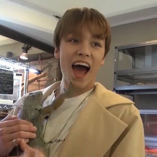 vernon: there’s a pet turtle in his room probably. always has the best jokes to say to cheer people up. “what do you want for dinner?” “i dunno order takeout?” satisfying to watch him play games. give him 3-5 business days to text back. relaxed man, and i respect that.